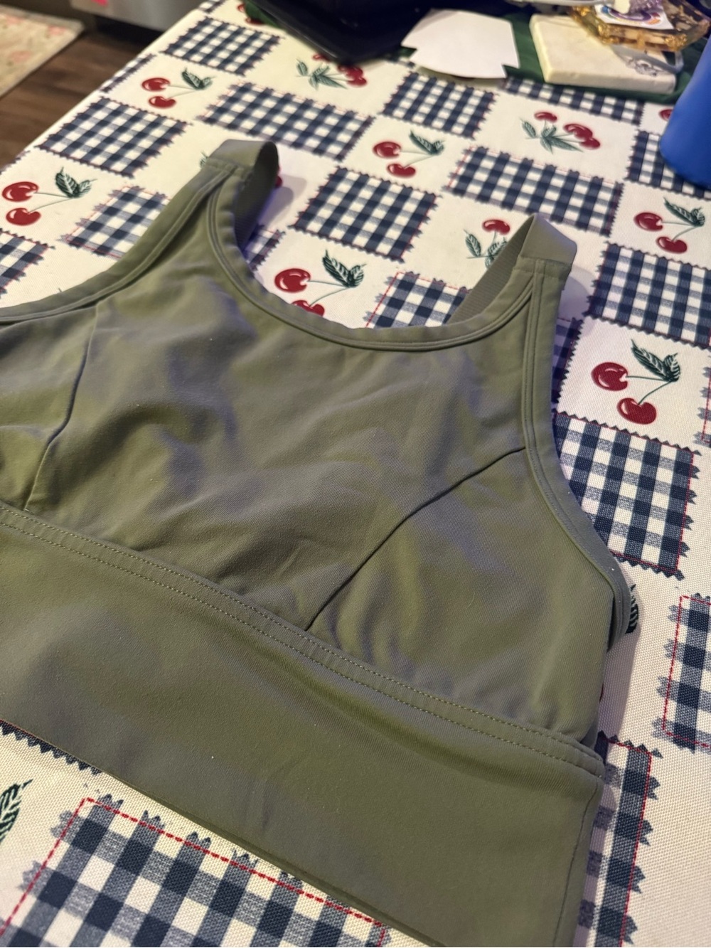 Aerie bra / tank